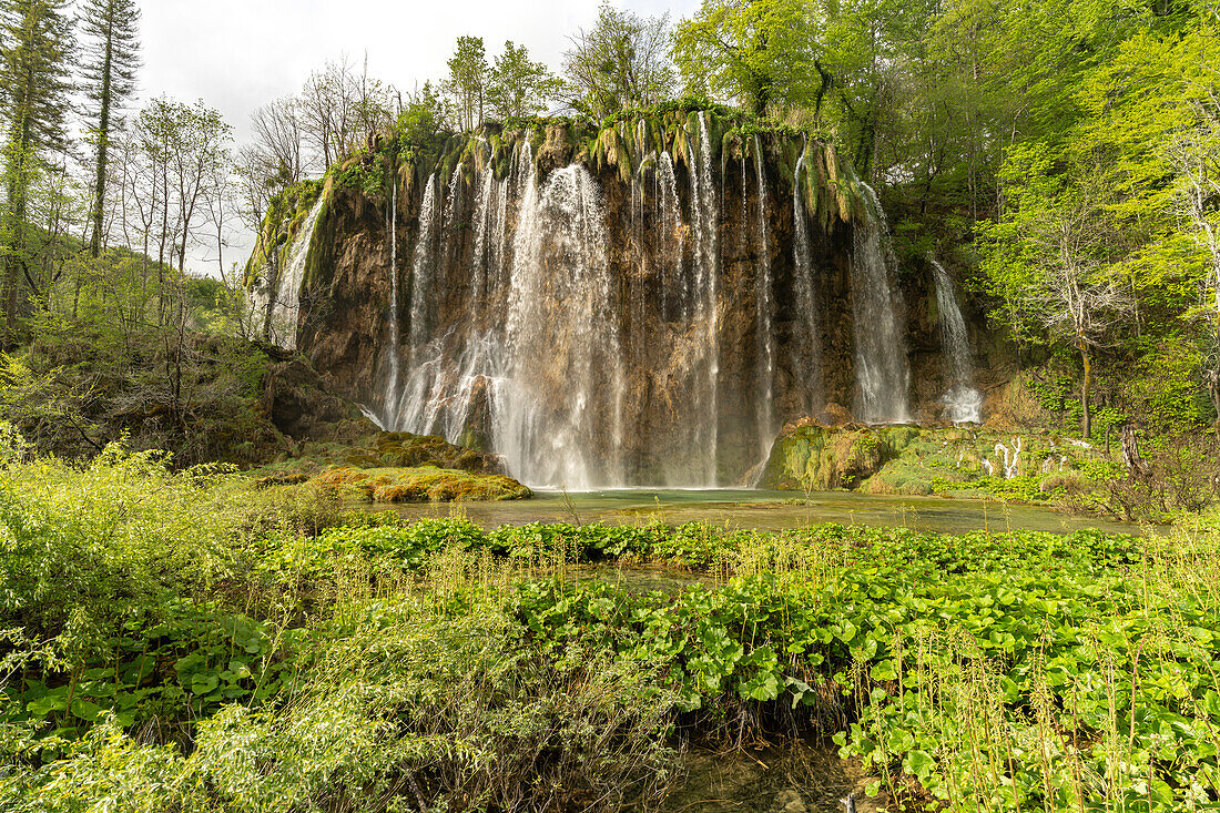  Veliki Prstavac waterfall in Plitvice Lakes National Park, Croatia, Europe  