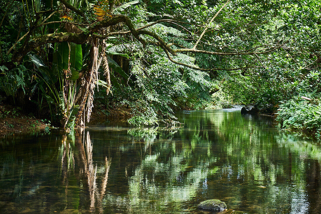 Afrika, Insel Mauritius, Indischer Ozean, Fluss