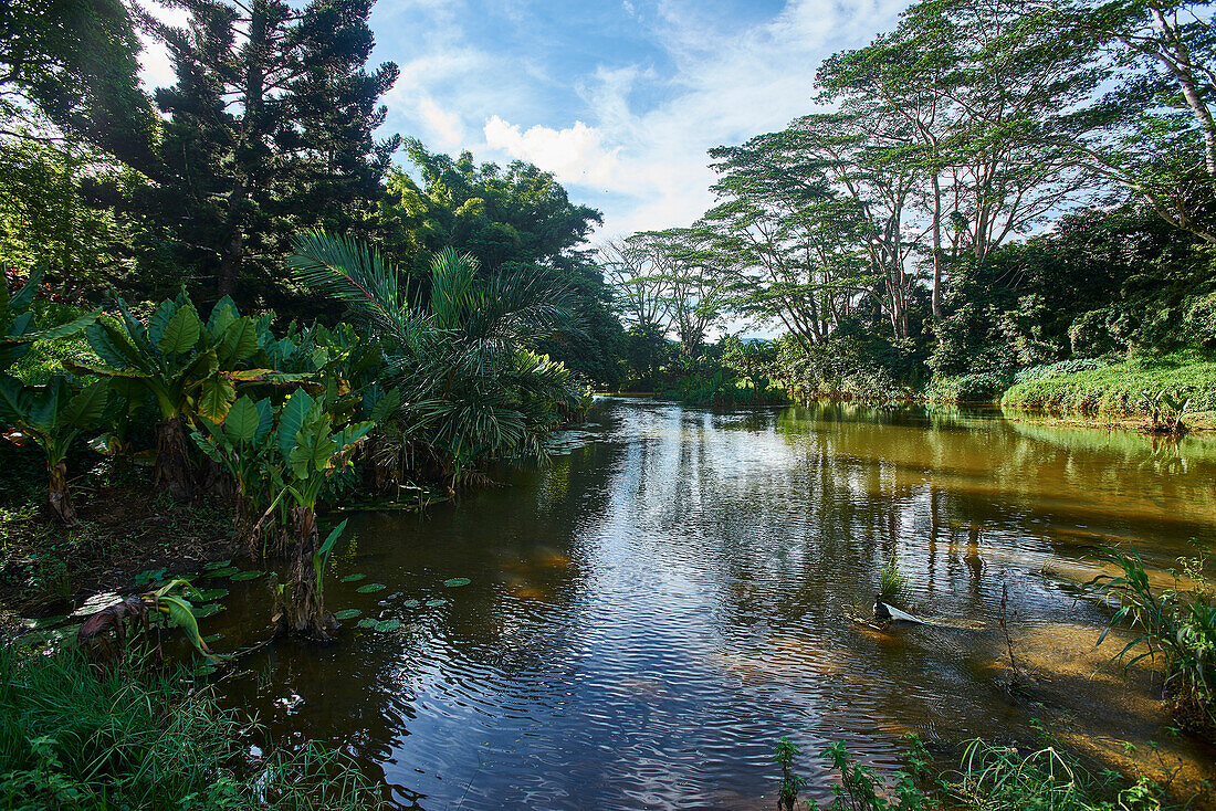  Africa, Mauritius Island, Indian Ocean, River 