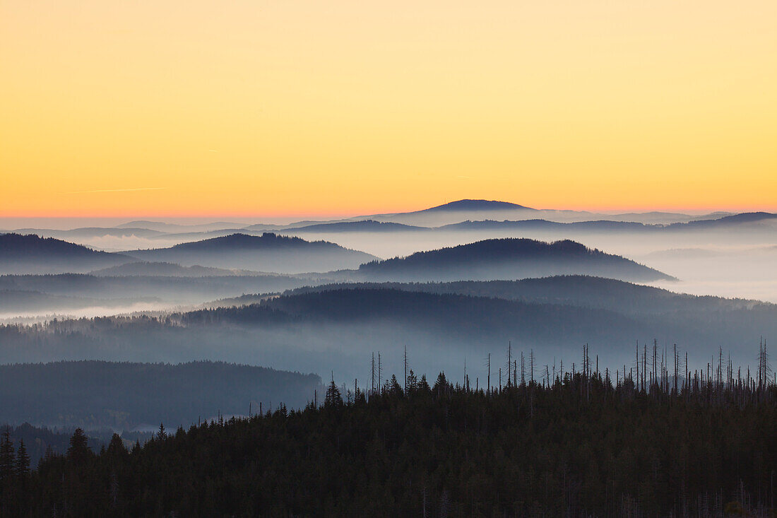  View from Lusen over the Bavarian Forest at sunrise, Bavarian Forest National Park, Bavaria, Germany 