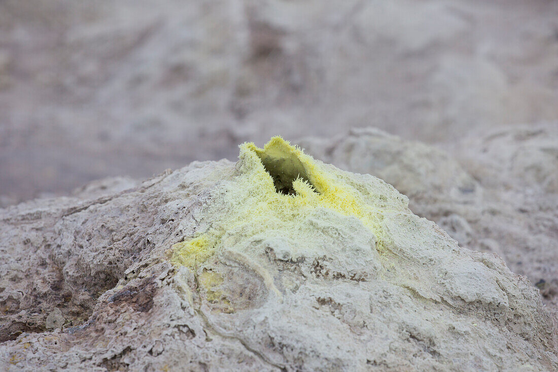  Hveraroend solfatara field on Namafjall mountain in the Krafla volcanic system, Nordurland eystra, Iceland 