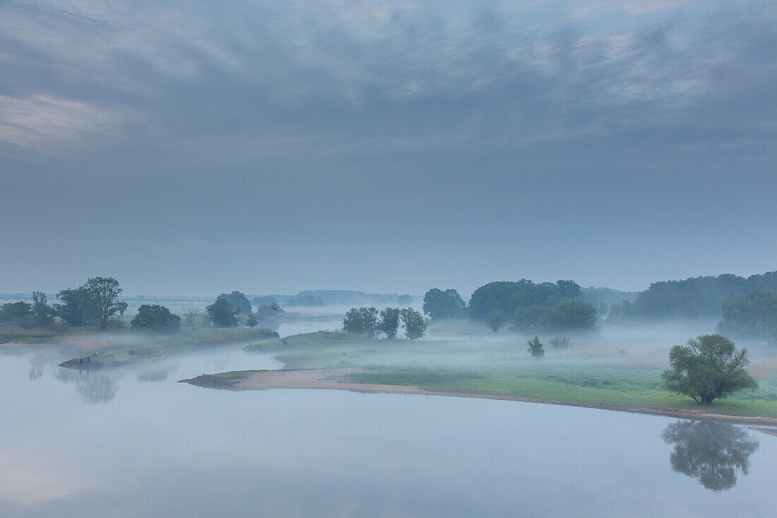 Morgensnebel ueber der Elbe, Biosphärenreservat Flusslandschaft Elbe, Niedersachsen, Deutschland