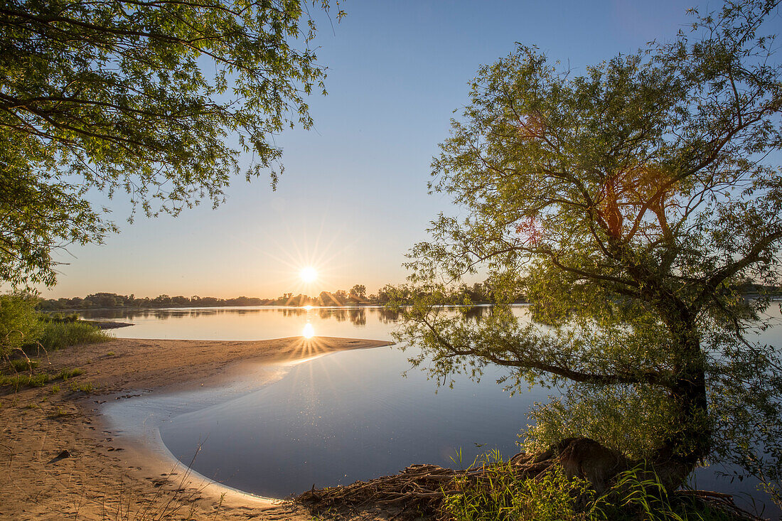  Evening mood on the Elbe, Elbe River Landscape Biosphere Reserve, Lower Saxony, Germany 