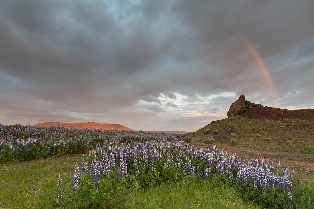  Rain clouds over the landscape at Lake Prestholalon, Nordurland eystra, Iceland 