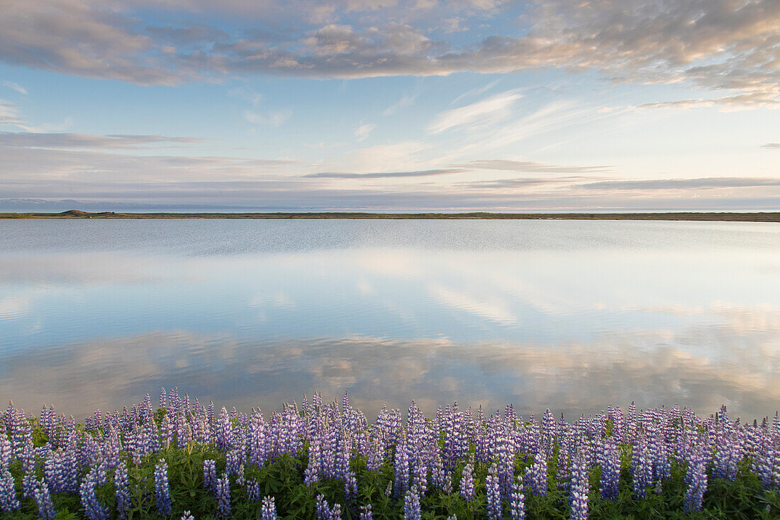 Blick auf den See Prestholalon, Nordurland eystra, Island