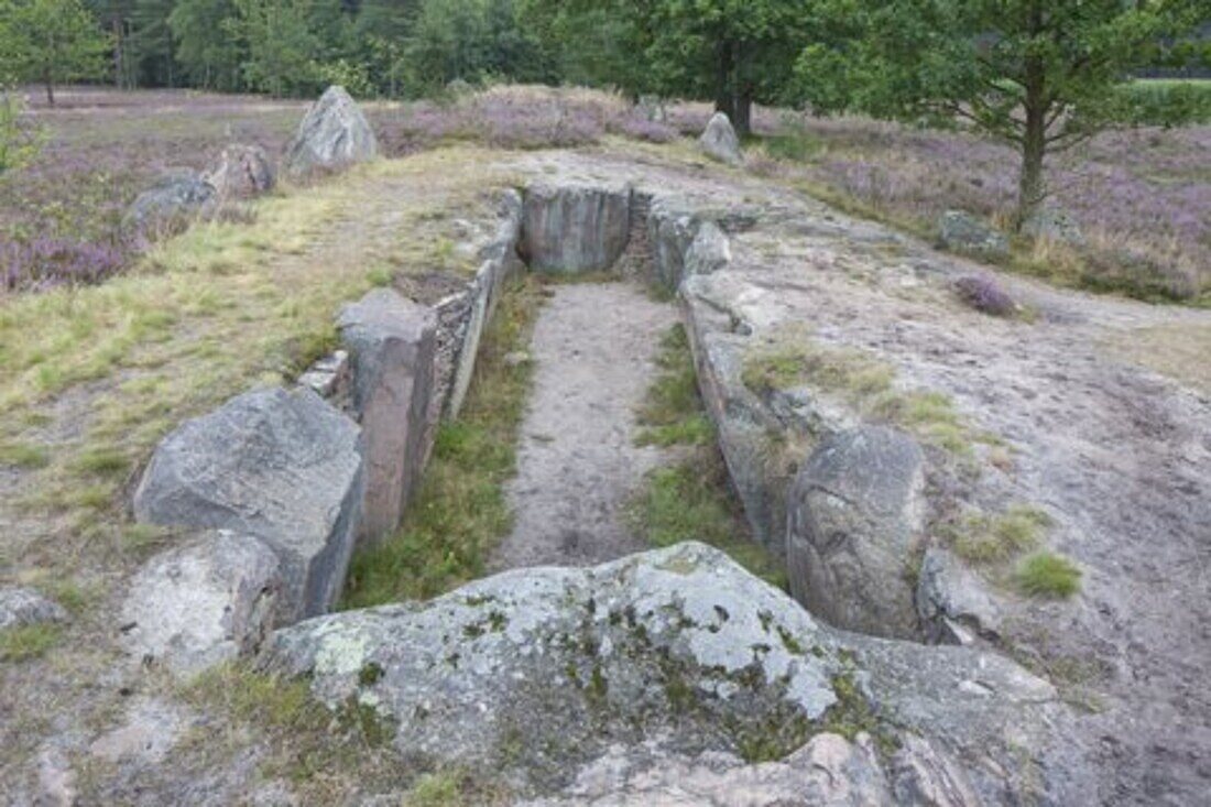  Oldendorfer Totenstatt, large stone graves, cultural monument, Amelinghausen, Lueneburg Heath, Lower Saxony, Germany 