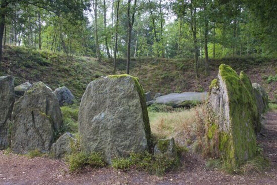  Seven Stone Houses, megalithic tombs, cultural monument, Lueneburg Heath, Lower Saxony, Germany 