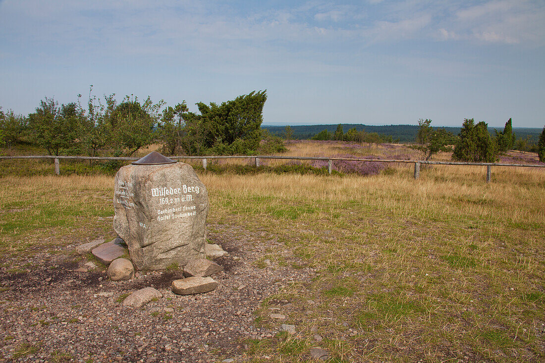 Wilseder Berg, Gipfelstein, 169,20m ueber NN, Lüneburger Heide, Niedersachsen, Deutschland