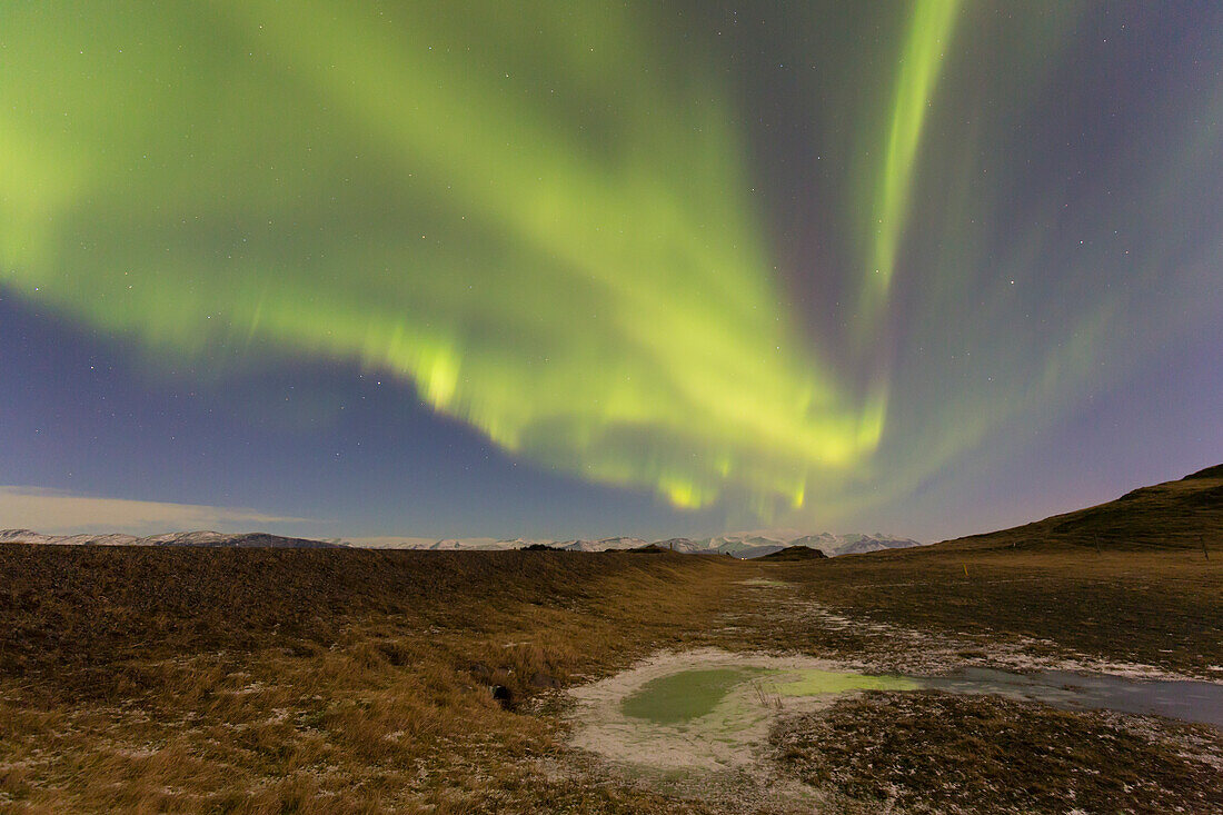  Northern lights, Aurora borealis, in the night sky, winter, Iceland 