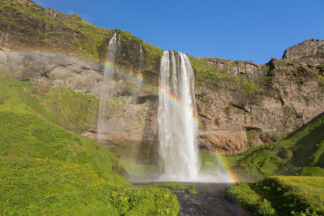  Seljalandsfoss, 66m high waterfall, summer, Iceland 