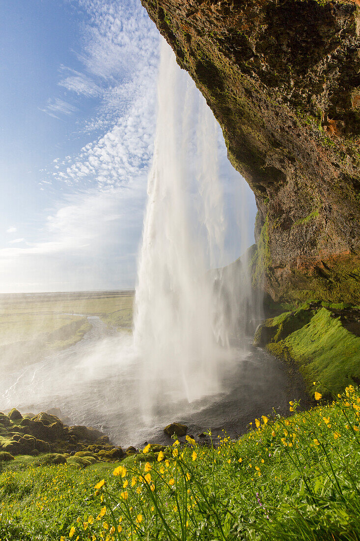  Seljalandsfoss, 66m high waterfall, summer, Iceland 