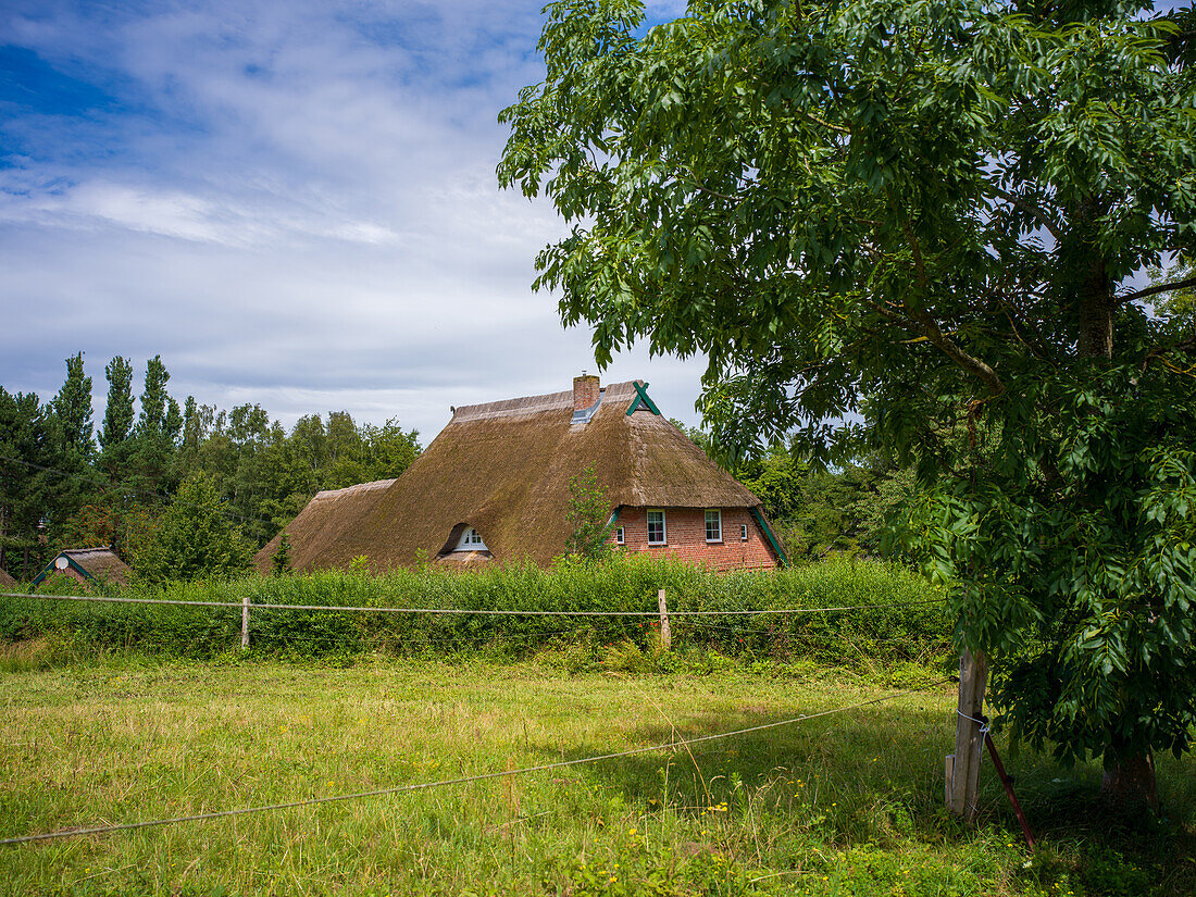 Ahrenshoop, Ostsee, Fischland, Darß, Zingst, Mecklenburg-Vorpommern, Landesteil Vorpommern, Deutschland, Europa