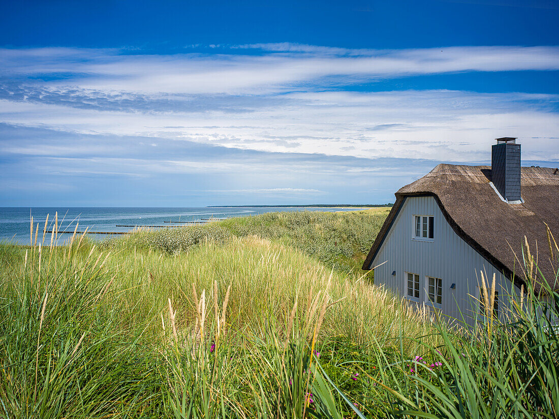 Am Strand von Ahrenshoop, Ahrenshoop, Ostsee, Fischland, Darß, Zingst, Mecklenburg-Vorpommern, Landesteil Vorpommern, Deutschland, Europa