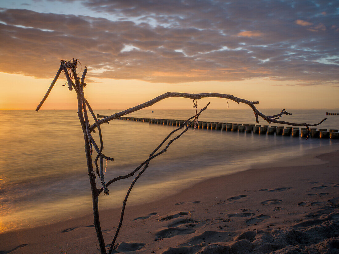  Sunset on the Darß, Ahrenshoop, Baltic Sea, Fischland, Darß, Zingst, Vorpommern-Rügen district, Mecklenburg-Vorpommern, Western Pomerania region, Germany, Europe 