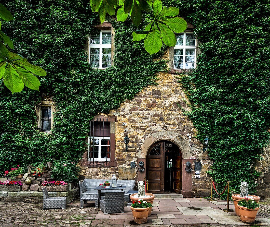 Innenhof der Burg Trendelburg mit Portal zum Hauptgebäude, Trendelburg, Landkreis Kassel, Hessen, Deutschland