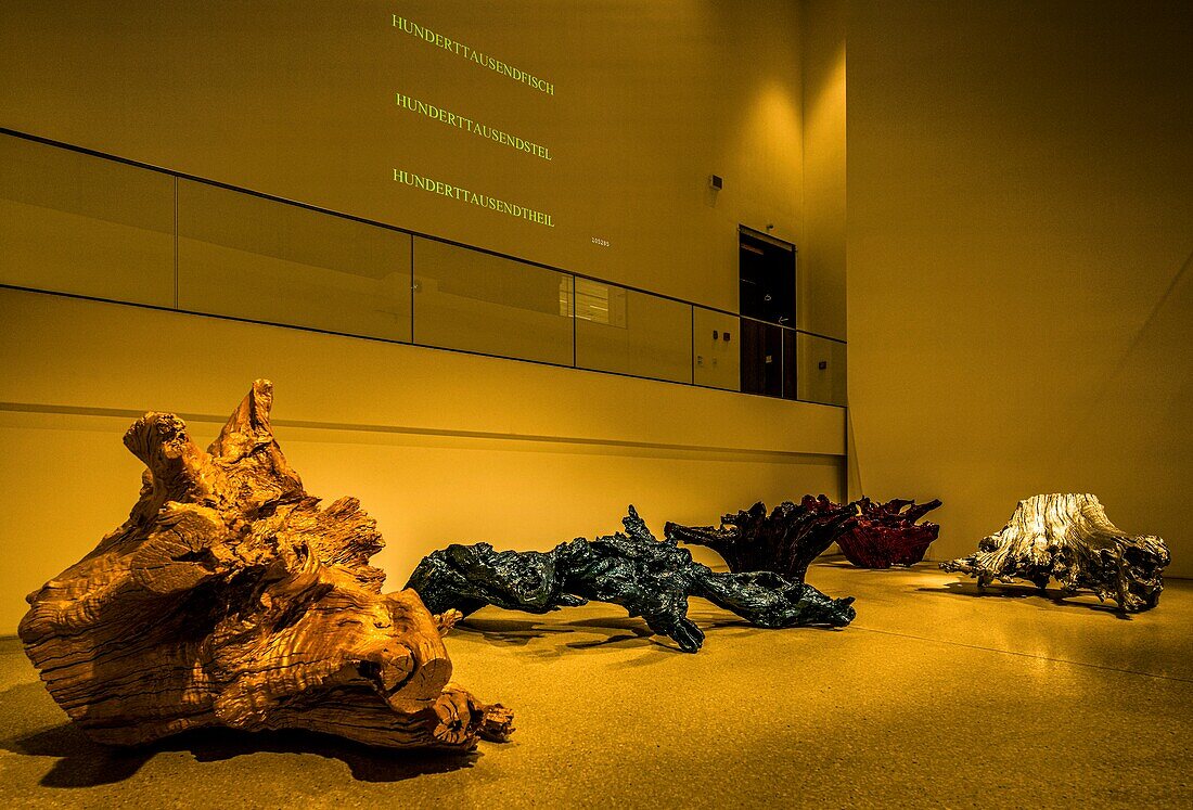  Museum GrimmWelt, Wooden Root Theme Room, Kassel, Hesse, Germany 