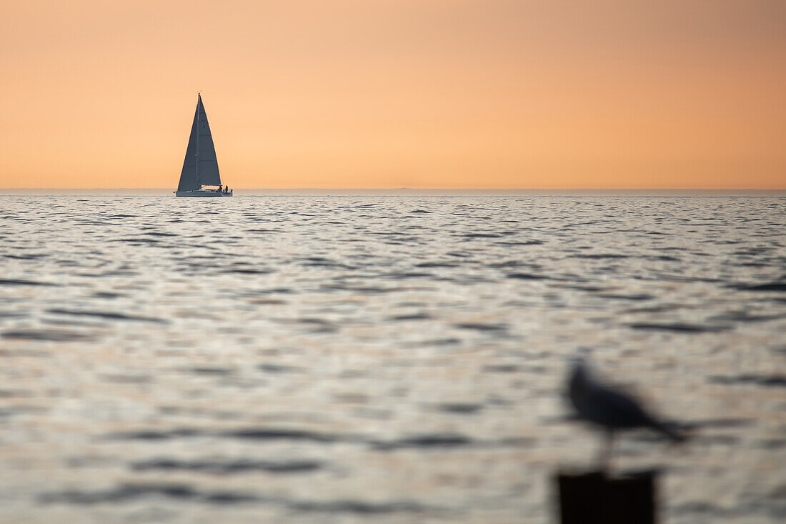  Sailing boat on the Baltic Sea, Ahrenshoop, Wustrow, Baltic Sea, Fischland, Darß, Zingst, Vorpommern-Rügen district, Mecklenburg-Vorpommern, Western Pomerania region, Germany, Europe 