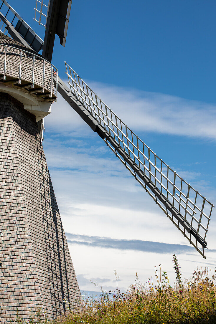  Detailed view of the windmill, Ahrenshoop, Baltic Sea, Fischland, Darß, Zingst, Vorpommern-Rügen district, Mecklenburg-Vorpommern, Western Pomerania region, Germany, Europe 