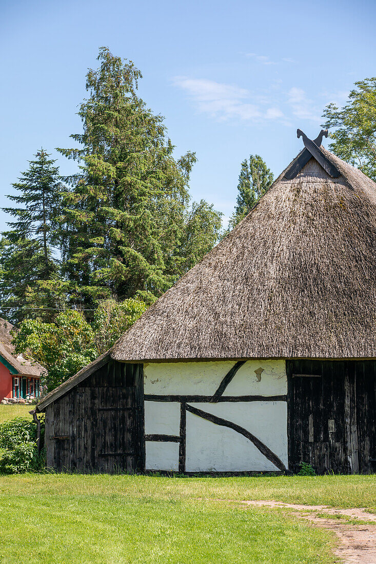  Thatched roof house in Ahrenshoop, Ahrenshoop, Baltic Sea, Fischland, Darß, Zingst, Vorpommern-Rügen district, Mecklenburg-Vorpommern, Western Pomerania region, Germany, Europe 