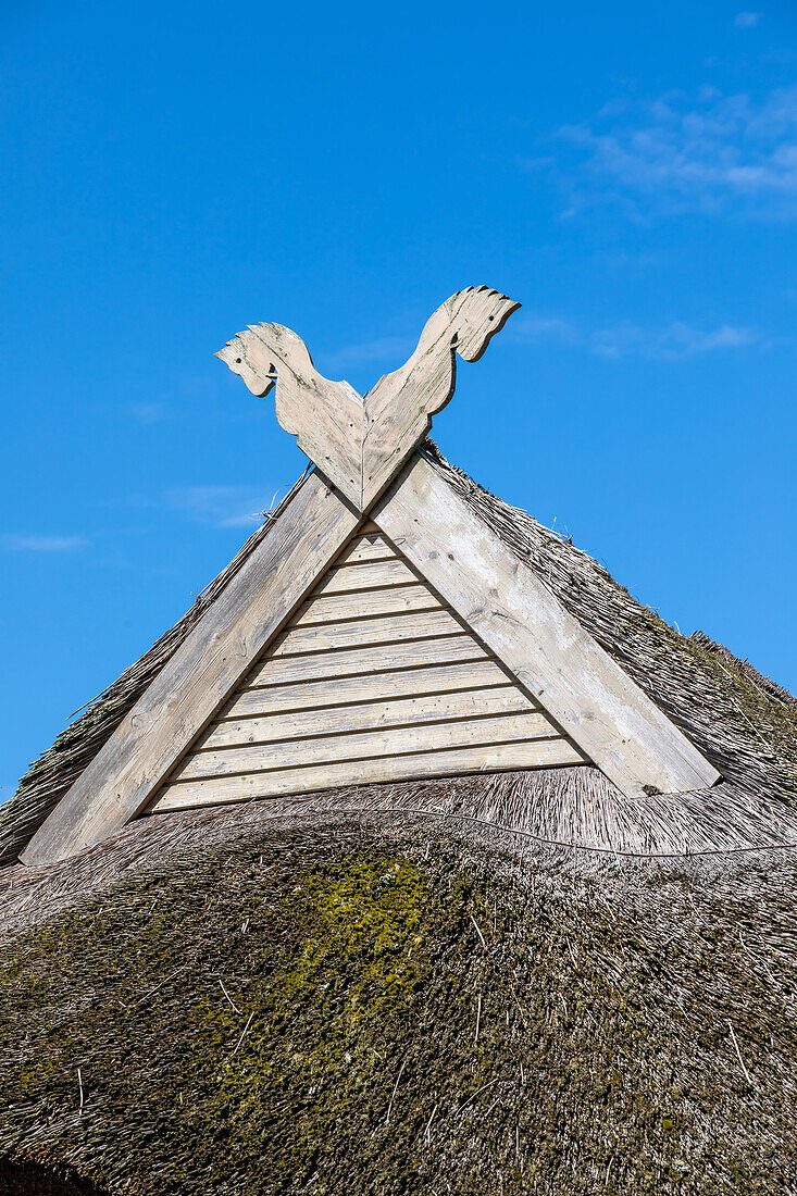  Thatched roof house in Ahrenshoop, Ahrenshoop, Baltic Sea, Fischland, Darß, Zingst, Vorpommern-Rügen district, Mecklenburg-Vorpommern, Western Pomerania region, Germany, Europe 