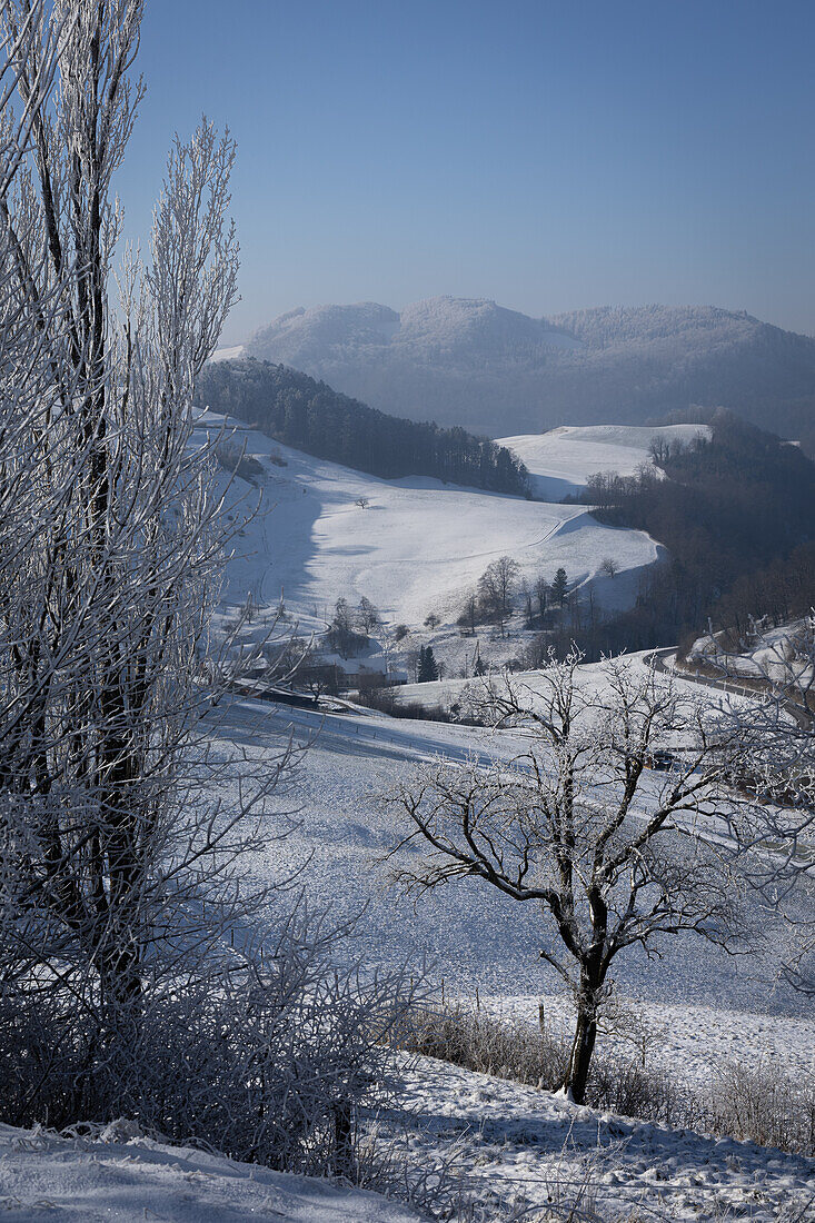  Winter landscape snow-covered meadows and trees and hills in the Jura (Aargau, Switzerland) 