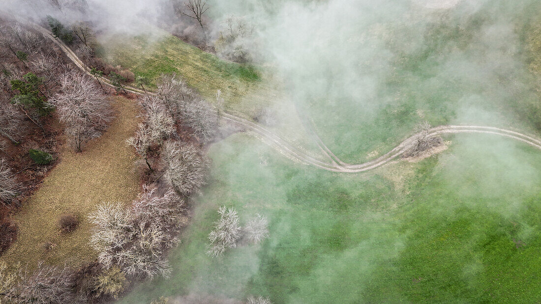  Aerial view of meadows, hedges and trees without leaves in winter with fog. (Jura, Aargau, Switzerland) 