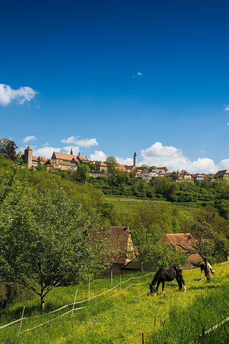 Mittelalterliche Stadt, Rothenburg ob der Tauber, Tauber, Romantische Straße, Franken, Bayern, Deutschland