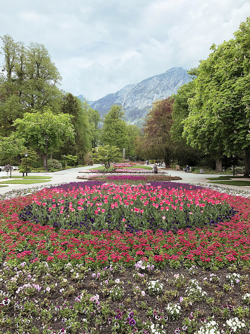 Blumenbeet im Kurpark in Bad Reichenhall, Berchtesgadener Land, Bayern, Deutschland