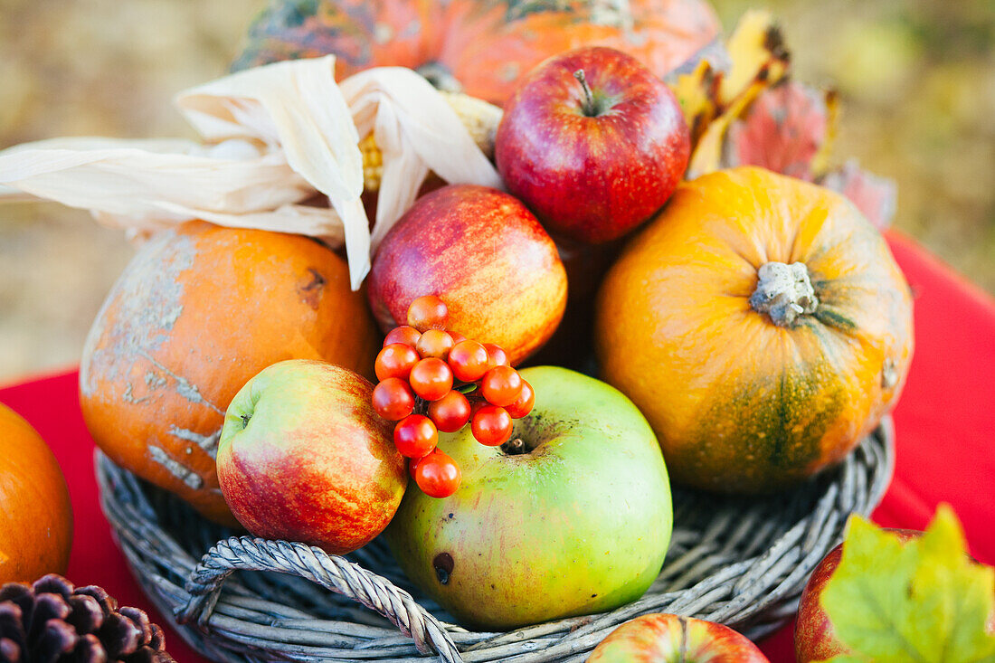 the Netherlands, ]Thanksgiving table, Autumn, Fall, Apples, Pumpkins, berries