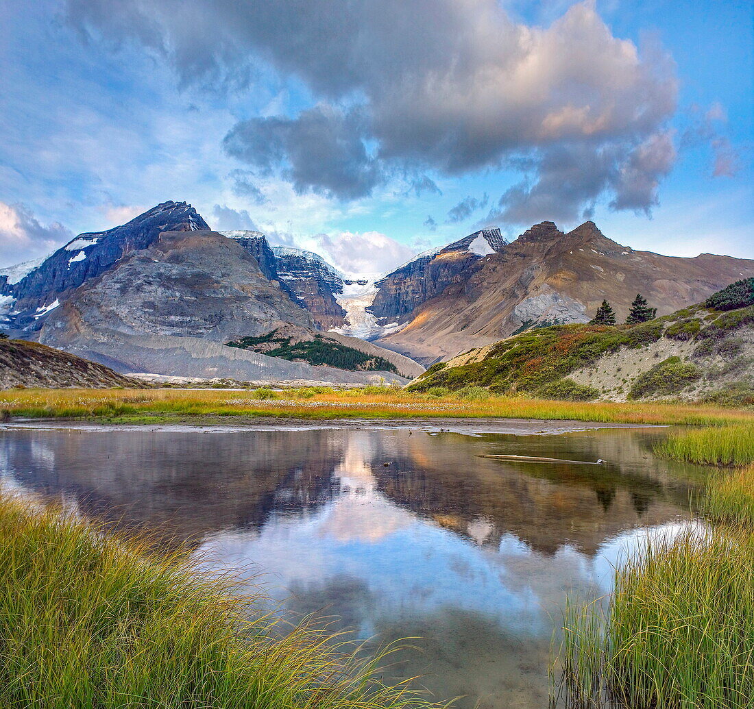  Berge spiegeln sich im See, Snow Dome, Dome-Gletscher und Mount Kitchener, Columbia-Eisfeld, Jasper-Nationalpark, Alberta, Kanada 