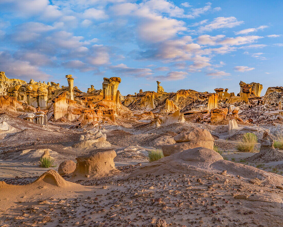 Hoodoos im Valley of Dreams, Bisti/De-Na-Zin Wilderness, New Mexico; USA