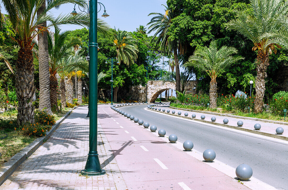 Von Palmen gesäumte Hafenstraße Akti Kountourioti (Koundouriotou) zwischen Johanniterkastell Neratzia und Agora durch Stadtmauertor zum Hafen in Kos-Stadt auf der Insel Kos in Griechenland