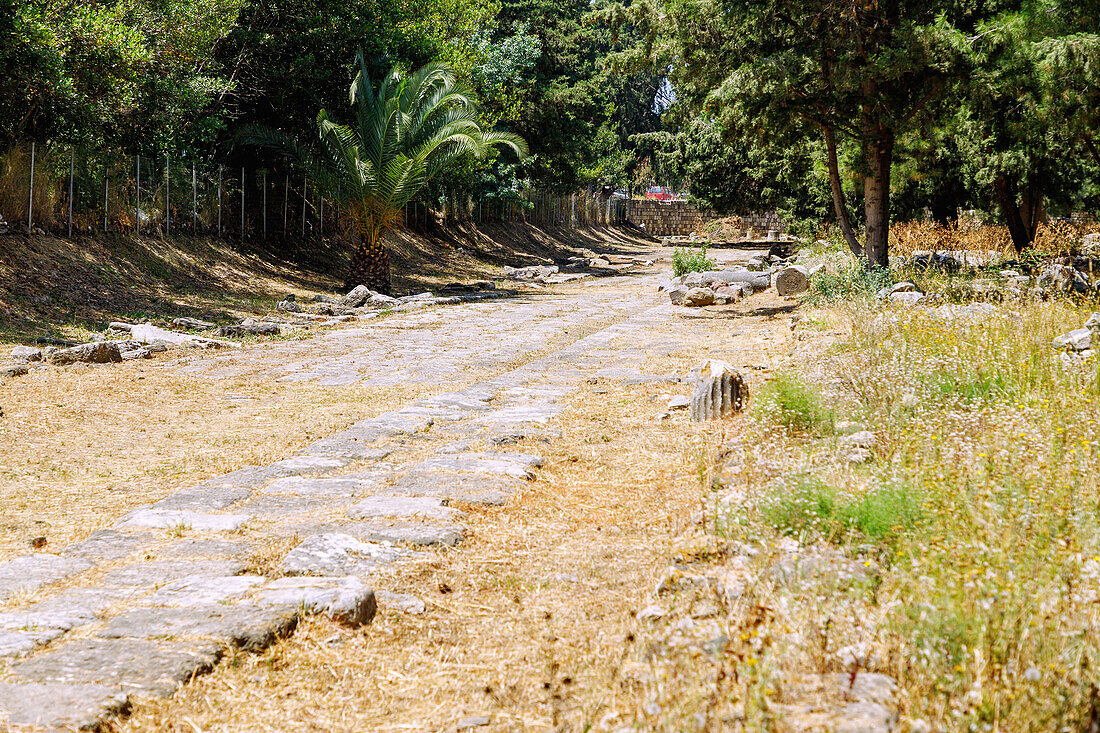 Westliche Ausgrabungsstätte in Kos-Stadt auf der Insel Kos in Griechenland: antike Straße Via Decumanos