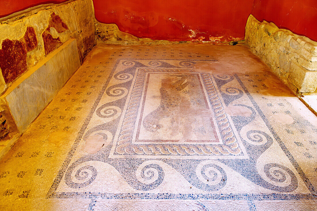  Casa Romana in Kos Town on the island of Kos in Greece: floor mosaic with leopard 