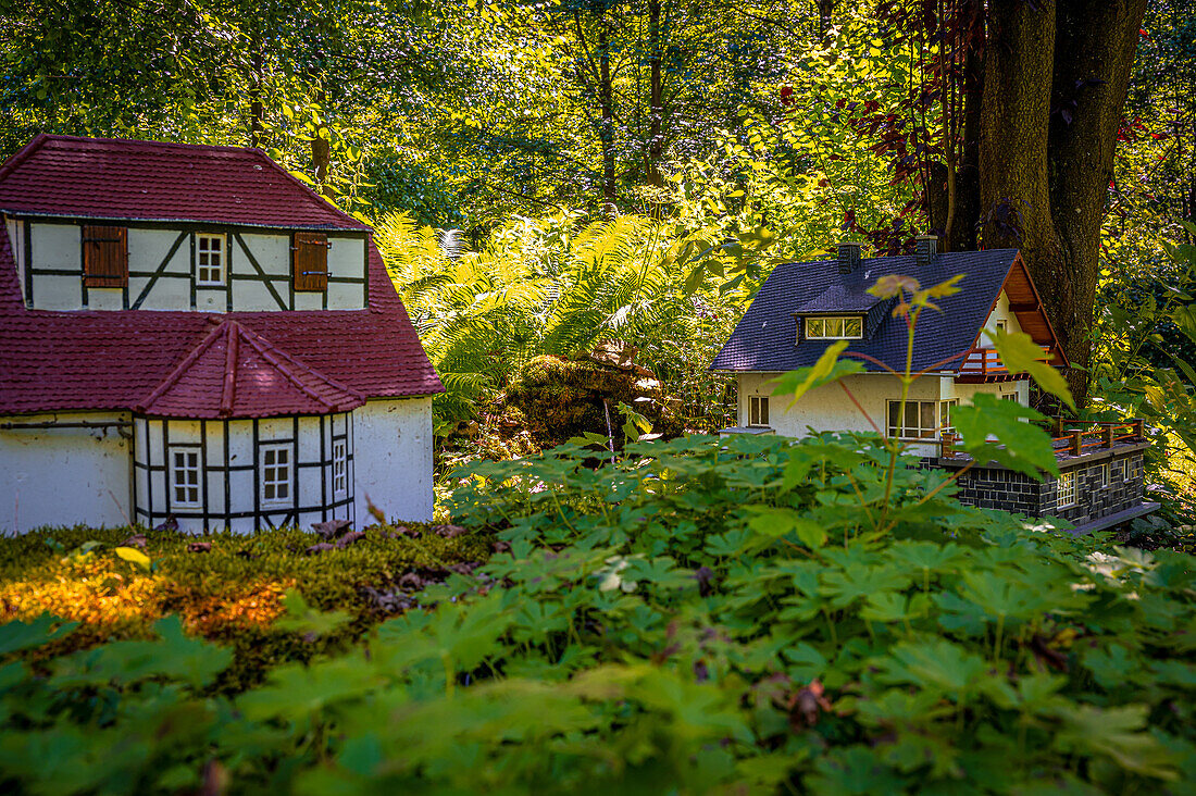  Mill miniature park at the Robertsmühle in the Mühltal near Eisenberg in Thuringia, Kursdorf, Saale-Holzland-Kreis, Thuringia, Germany 