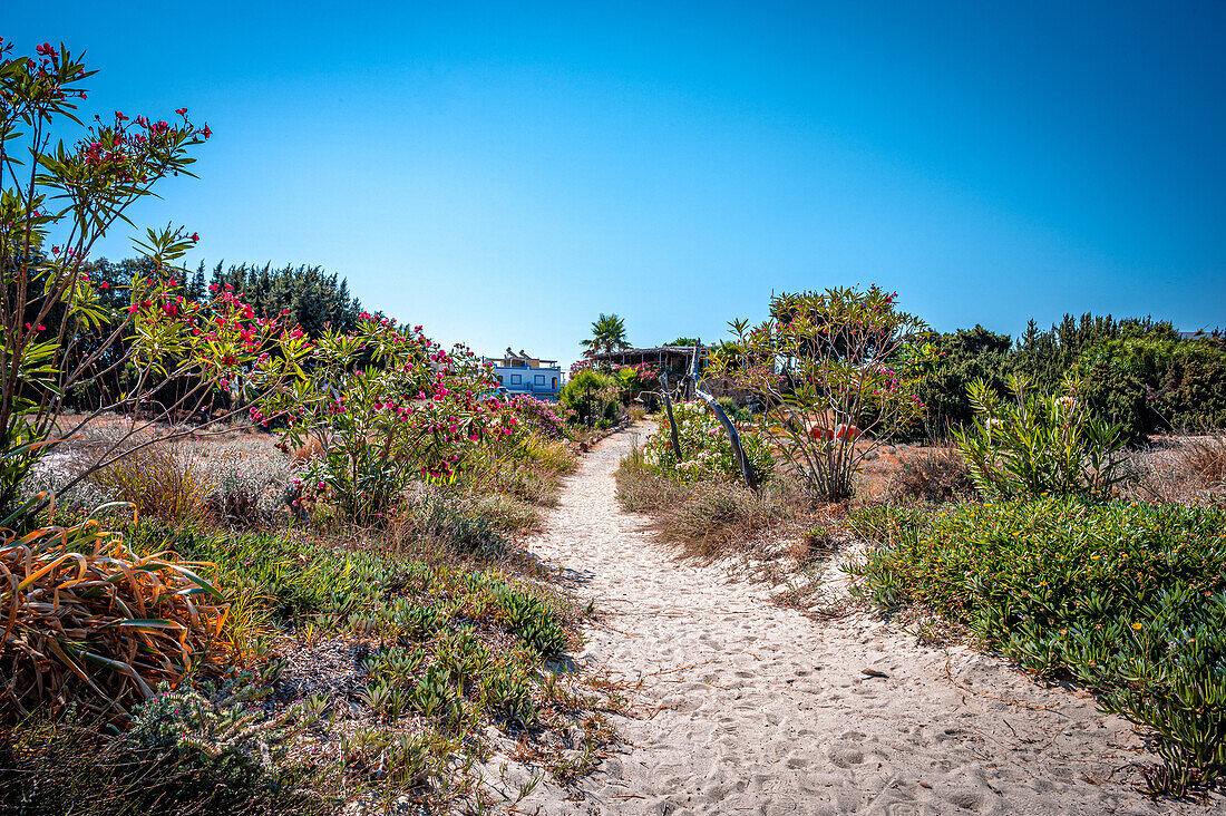  Sandy path to a small restaurant on Mastichari beach on Kos island, Mastichari, Kos, Greece 