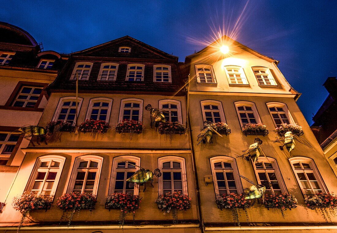  Grimm-Dich-Pfad, The Brave Little Tailor, Seven Flies, Market Square, Marburg, Hesse, Germany 