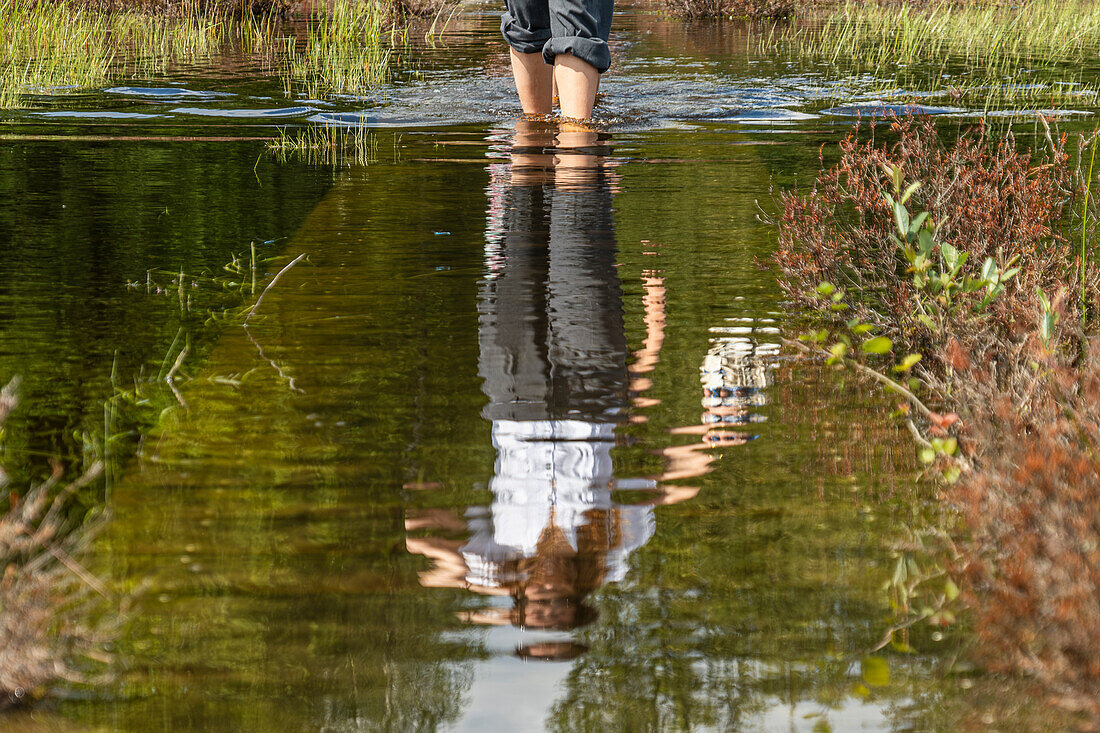 Anonymous woman walking a flooded boardwalk in the Mastbos, a small forest located on the edge of Breda, the Netherlands.