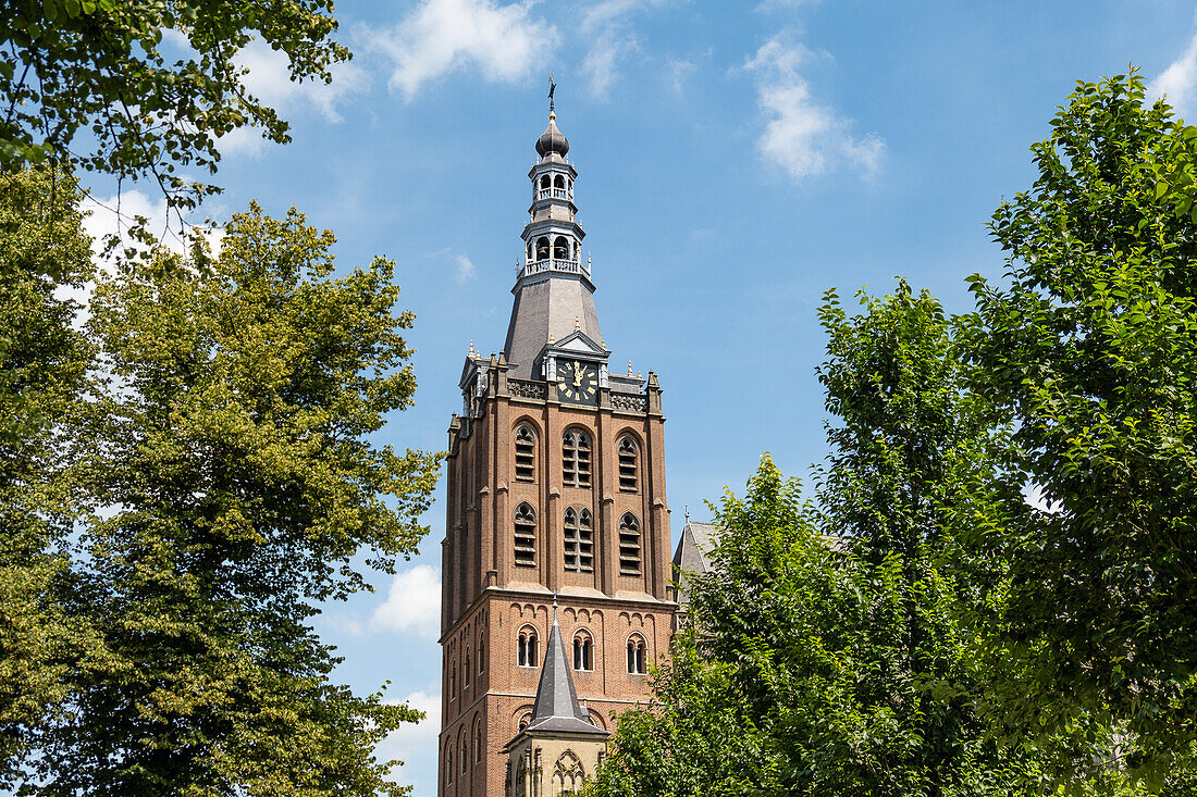 The St. Johns Cathedral in 's-Hertogenbosch, the Netherlands, seen through lush green trees in summer.