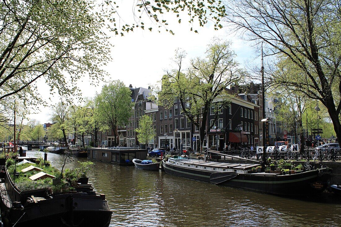  Streetview Amsterdam, Netherlands 