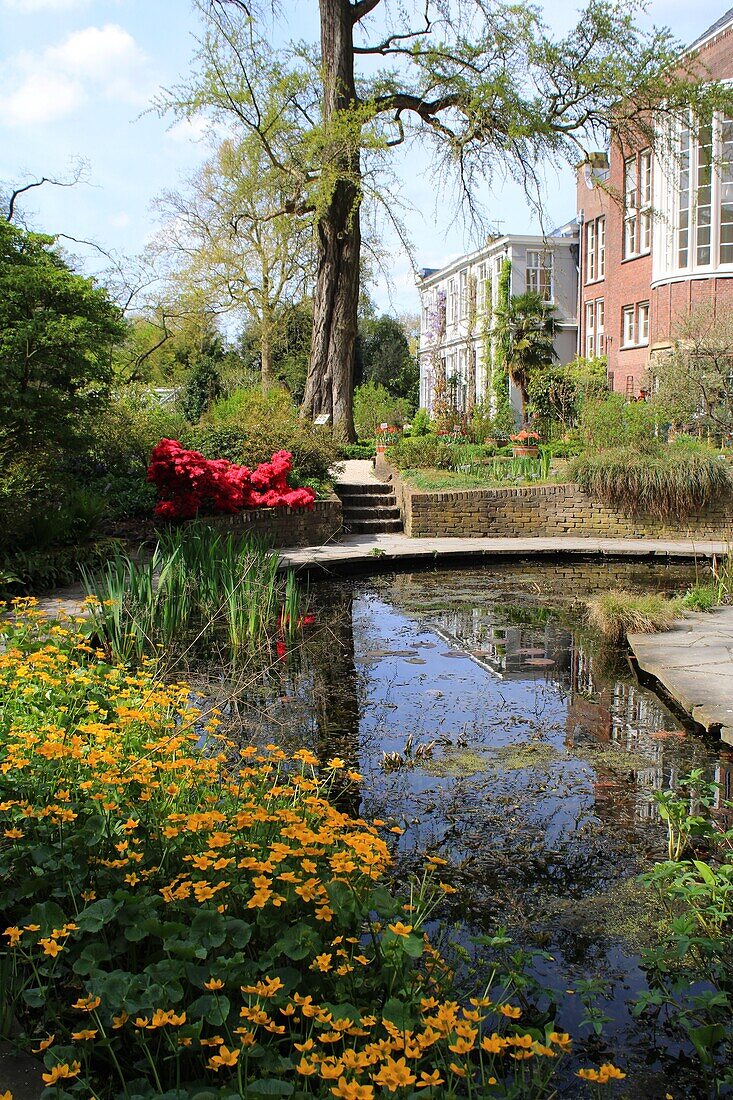  Hortus Botanicus Amsterdam, Netherlands 