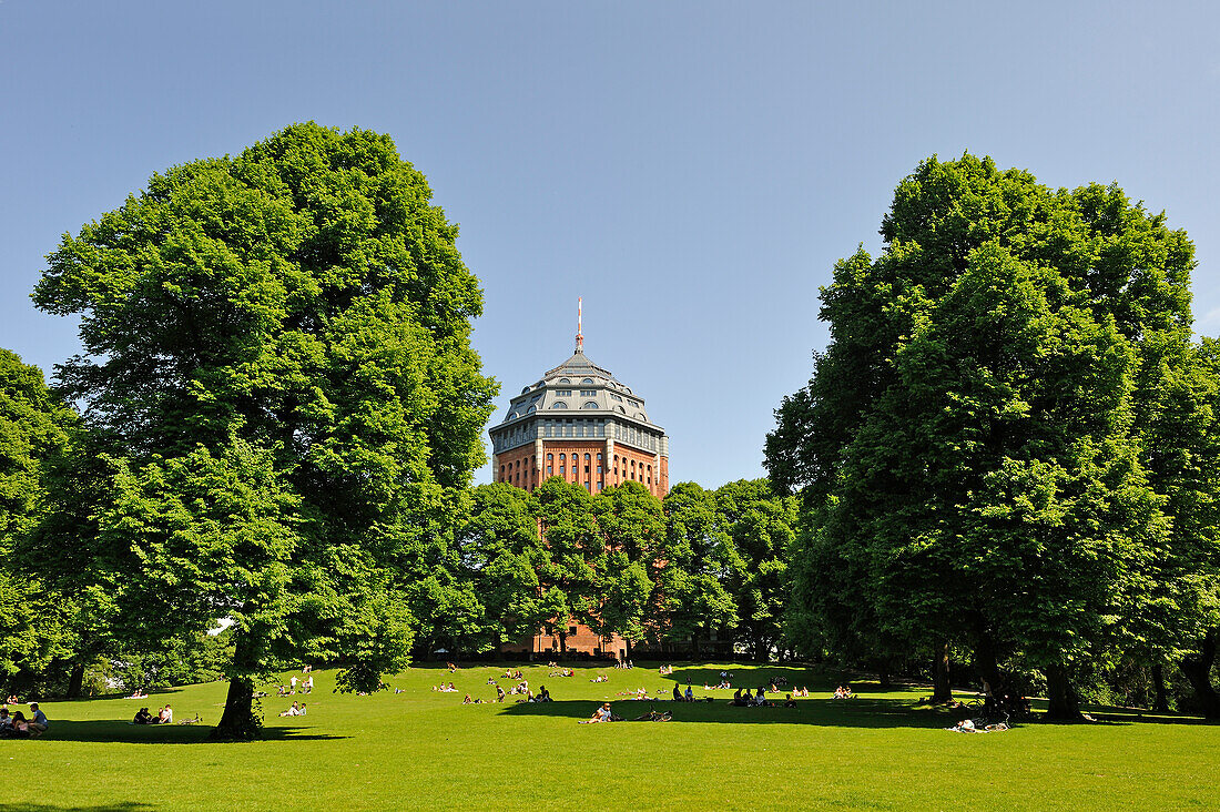 Botanical Gardens, Hamburg, Germany, Europe