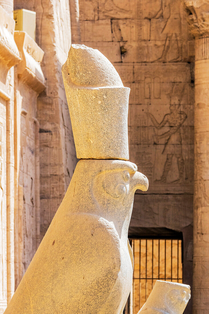 Der Tempel von Edfu ist eine altägyptische Tempelanlage am westlichen Rand der Stadt Edfu in Oberägypten, Ägypten