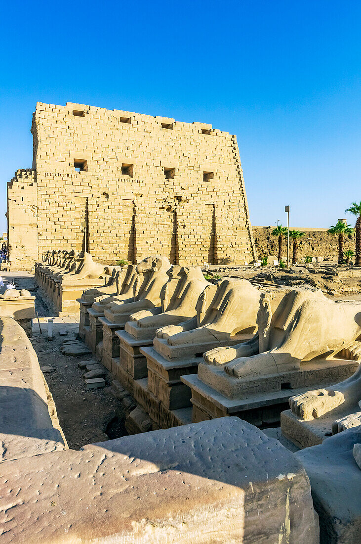  The Luxor Temple is a large ancient Egyptian temple complex on the east bank of the Nile in Luxor  