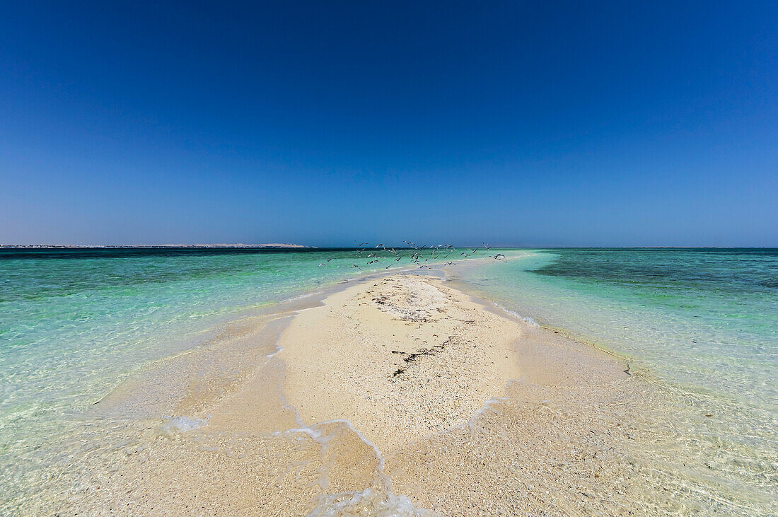  Sandbank near Hurghada, Egypt 