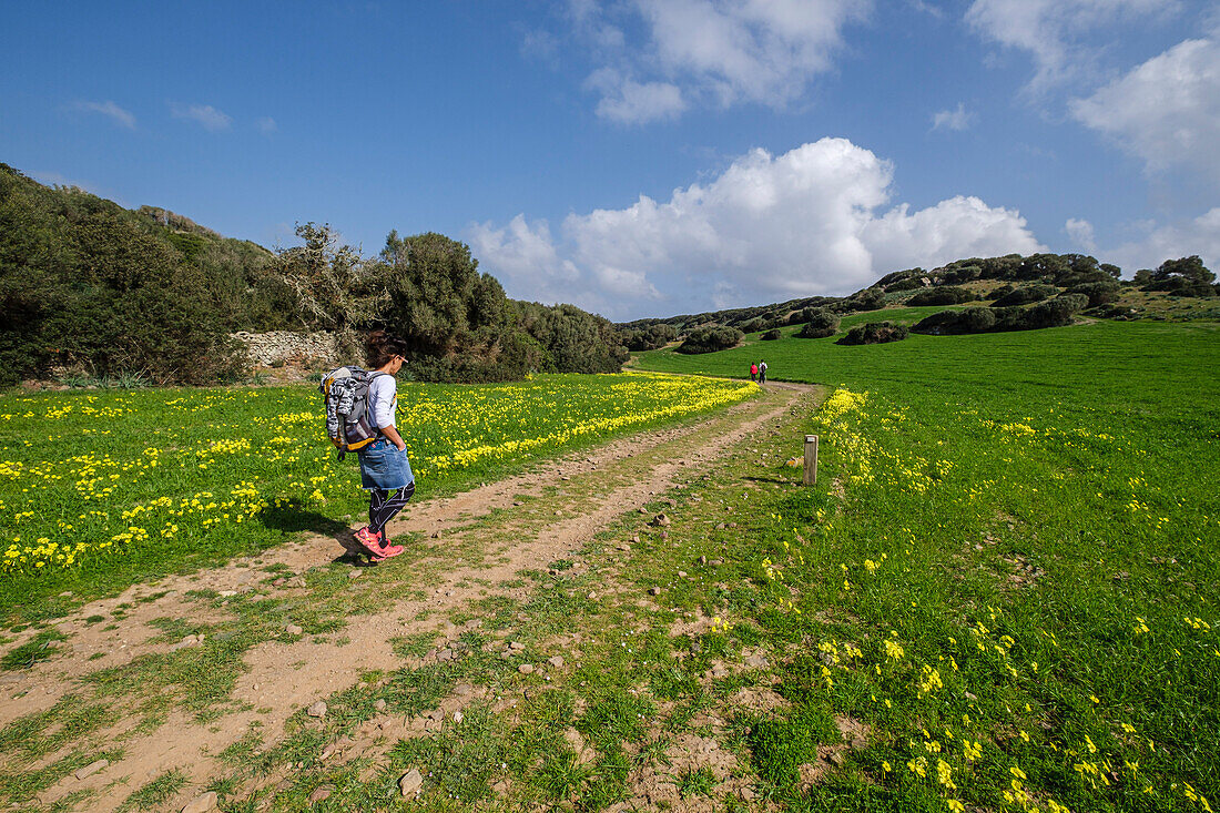 Wanderer auf dem Pferdeweg, Cami de Cavalls, Naturpark s'Albufera des Grau, Menorca, Balearen, Spanien