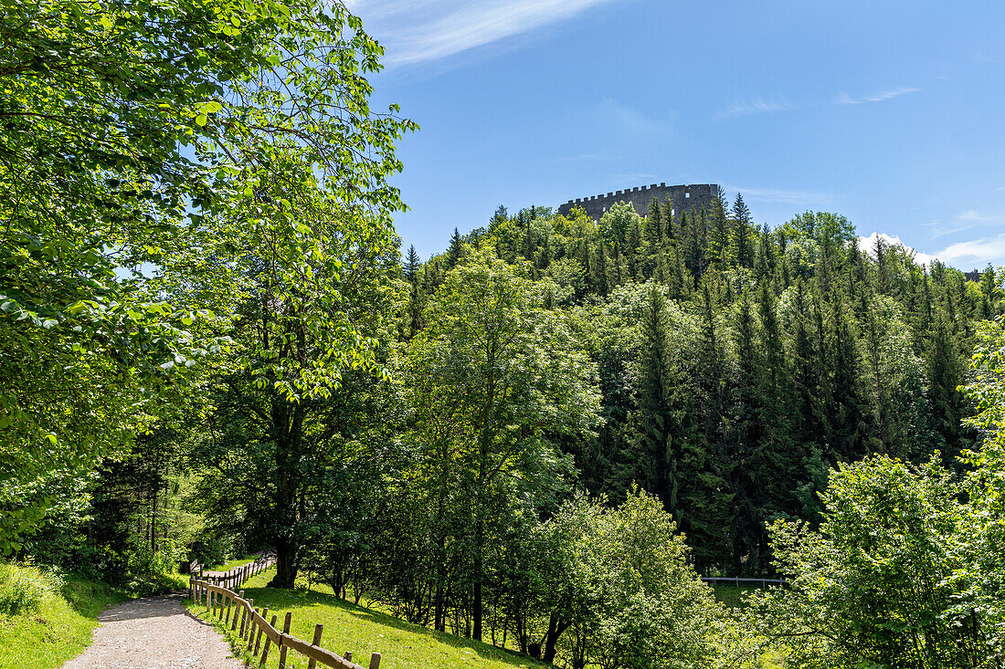  On the way to the Eisenberg castle ruins in the Ostallgäu near Pfronten, Bavaria, Germany, Europe 