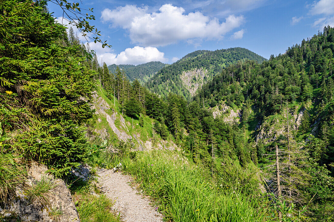  On the trail through the Rappin Gorge, Jachenau, Upper Bavaria, Bavaria, Germany 