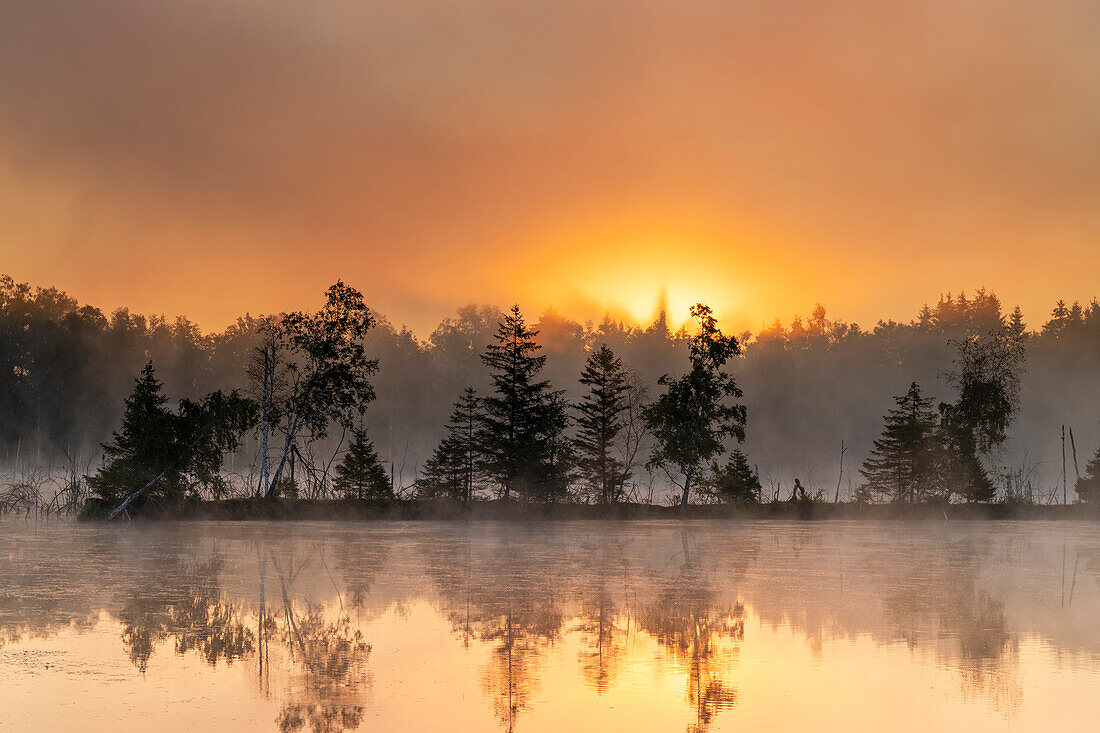  Moor - at daybreak in the Weilheimer Moos, Weilheim, Upper Bavaria, Bavaria, Germany 