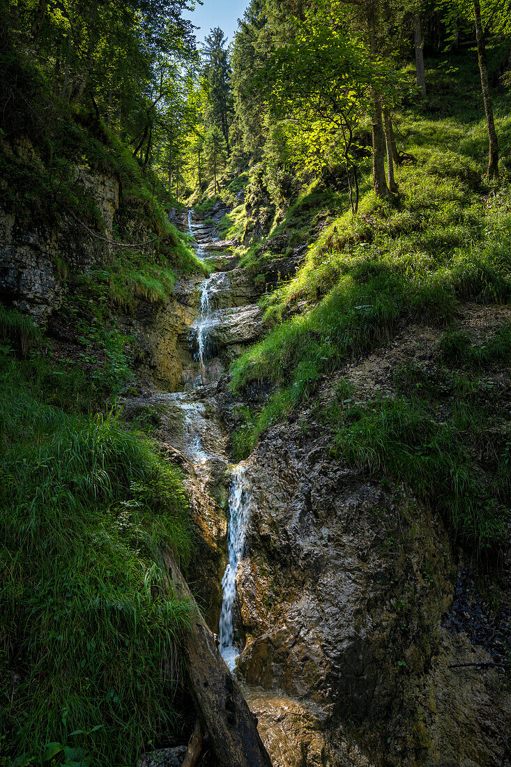  Small waterfall above the Seinsbachklamm, Karwendel, Mittenwald, Bavaria, Germany, Europe 